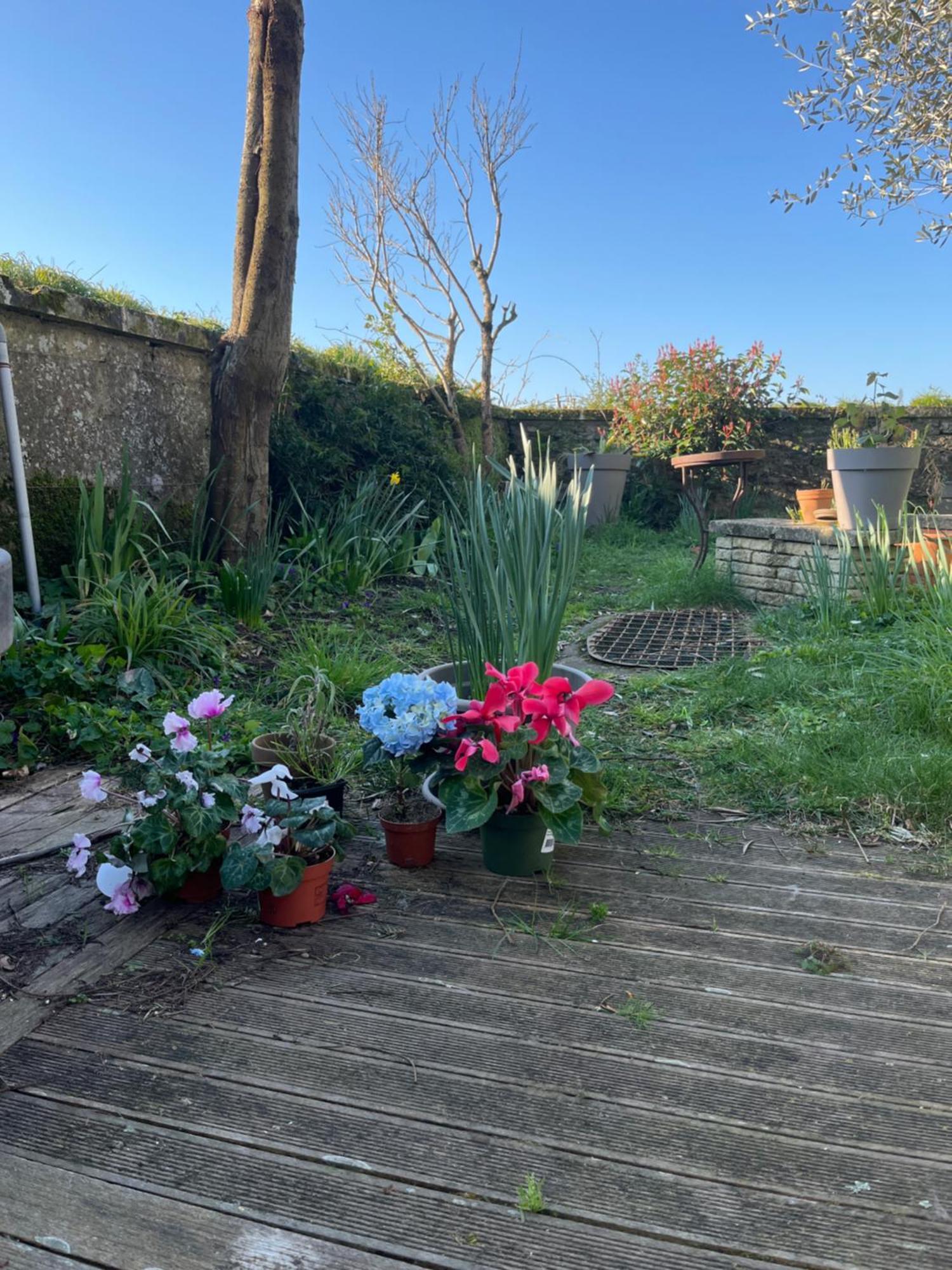 Accommodatie bij particulieren La Maison Sur La Falaise